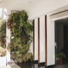 Отель Ouro Cerrado Palace Hotel, фото 16