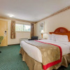 Отель Ramada Cleveland Airport West, фото 4