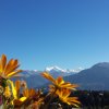 Отель 3 Etoiles Le Splendide Crans-Montana, фото 24