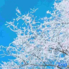 Отель Fall in love with snow Inn, фото 7