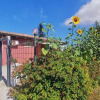 Отель Bed & Breakfast Anna, фото 21