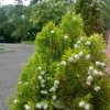 Отель Quinta De Sao Francisco, фото 16