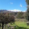 Отель Alberto's Mt. Etna B&B, фото 5