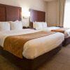 Отель Comfort Suites Fultondale I-65 near I-22, фото 27