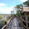 Отель Tariri Amazon Lodge, фото 17