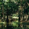 Отель Overbridge River Resort, фото 32
