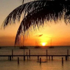 Отель Aruba Surfside Marina, фото 9
