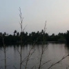 Отель The Mangroves Villa Goviyapana, фото 20
