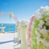 Отель Grand Paradise, фото 14