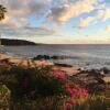 Отель Molokai Ocean View Condo, фото 14