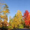 Отель Aulanko Nature Reserve House – Peace & Privacy, фото 1