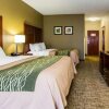 Отель Comfort Inn And Suites, фото 20