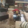 Отель The 2 Islands Villa, Athens, Pachi,front-beach Villa 3 Floors,7 Guests, фото 5