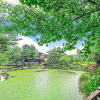 Отель May Garden, фото 24