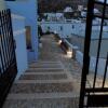 Отель Anemi Leros Apartments в Леросе