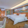 Отель Vienna Hotel (Chongqing Qijiang Wanda Plaza), фото 5