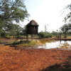 Отель Zingela Nature Reserve - Leadwood Lodge, фото 1