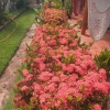 Отель Pousada Vento Norte, фото 3