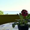 Отель Peaceful Apartment in Dobropoljana With Balcony, фото 20