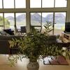 Отель Freycinet Beach House, фото 5