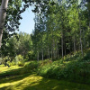 Отель Meadow Brook Chalet, фото 14