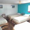 Отель New Day House In Cusco - Hostel, фото 2