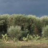Отель B&B Sosta A Ponente, фото 16