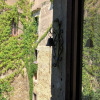 Отель Palazzo Mazziotti, фото 19