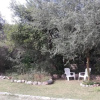 Отель Wilka Pacha - Casas Serranas, фото 6