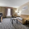 Отель Quality Inn & Suites, фото 41