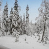 Отель Ruka-rokova 2 Kuusamo, фото 27
