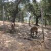 Отель Casas Rurales La Loma Del Carrascal, фото 5