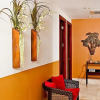 Отель Casa Gold Coast - Langosta Beach, фото 6