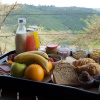 Отель The Hilton Bush Lodge, фото 12