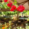 Отель Villa Bercu Paradise, фото 1