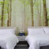 Отель Cottage Bed and Breakfast, фото 18