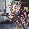 Отель Ketangjian Hotel (Lingfeng), фото 6