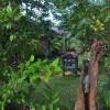 Отель Sigiriya Green Garden Homestay, фото 26