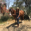 Отель Rancho Santana Peru, фото 4