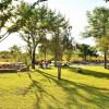 Отель Wildtrack Safaris Eco Lodge, фото 8