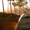 Отель Munnar Jungle Camp, фото 2