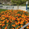 Отель Meiju Theme Hotel, фото 28
