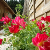 Отель Le Chalet des Trois Quilles, фото 14