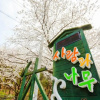 Отель Gongju Man and Tree Pension, фото 11