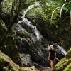 Отель Daintree Ecolodge, фото 15