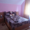 Отель Steluța, фото 4