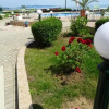 Отель Lozenetz Beach, фото 36