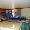 Отель Sailfish Bay Surf & Big Game Fishing Lodge, фото 5