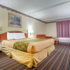 Отель Rodeway Inn Stone Mountain, фото 19
