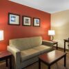 Отель Comfort Inn & Suites Airport South, фото 39